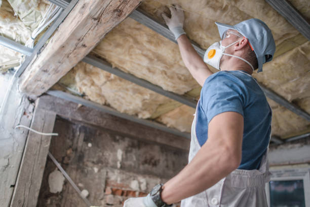Best Geographic-Specific Insulation Services in Sturgeon Bay, WI